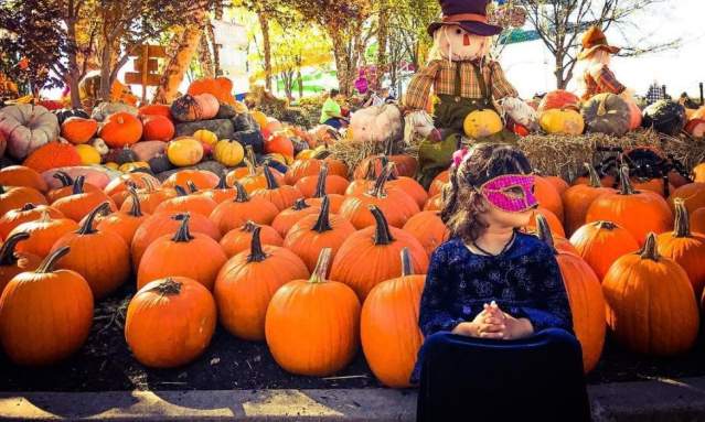 The Great Pumpkin Fest at Kings Island (photo: @anjaligupta.r)