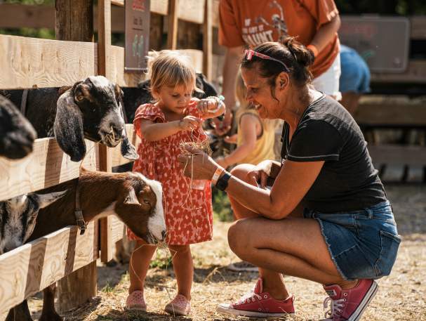 A mom and child feed goats at a petting zoo