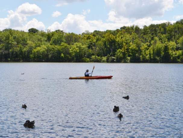 Person kayaking on the lake at Winton Woods (photo: Great Parks of Hamilton County)