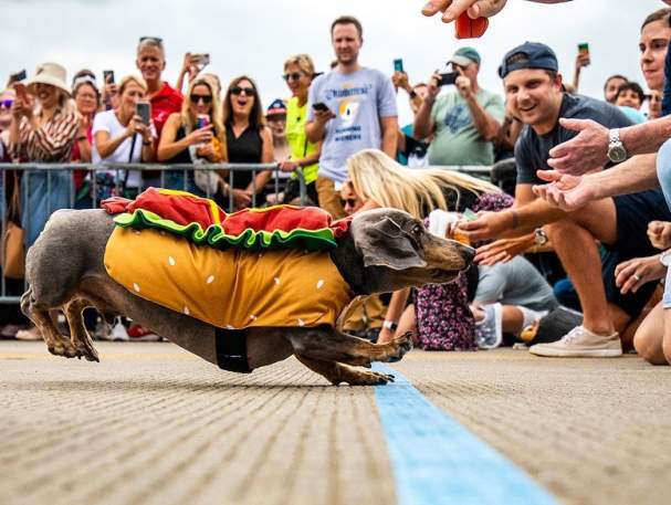 Oktoberfest Zinzinnati @shaemphoto
