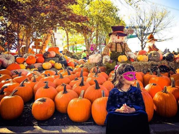 The Great Pumpkin Fest at Kings Island (photo: @anjaligupta.r)