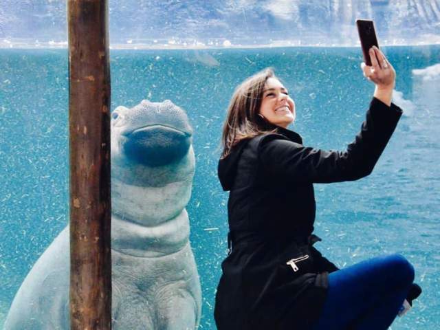 Fiona at the Cincinnati Zoo (photo: @alliemartin8)