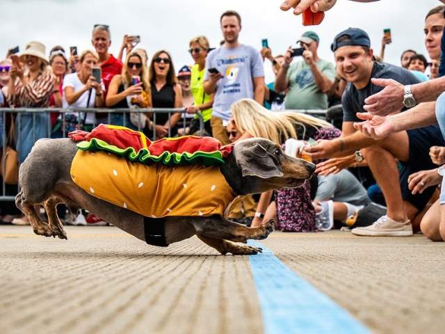Oktoberfest Zinzinnati @shaemphoto