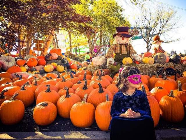The Great Pumpkin Fest at Kings Island (photo: @anjaligupta.r)