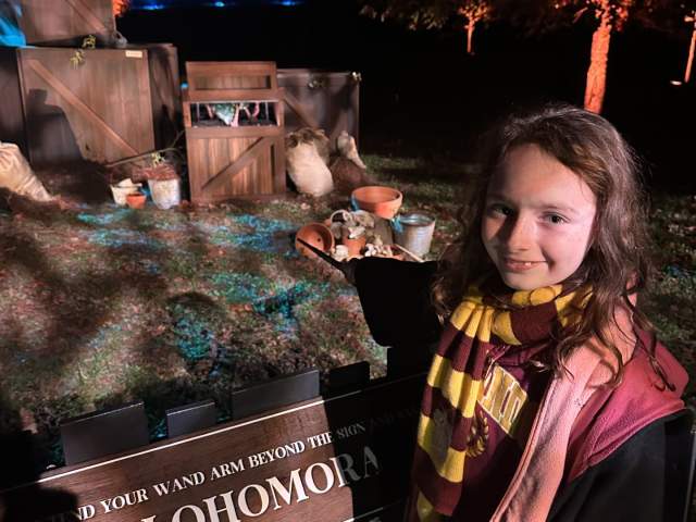 Harry Potter and the Forbidden Forest