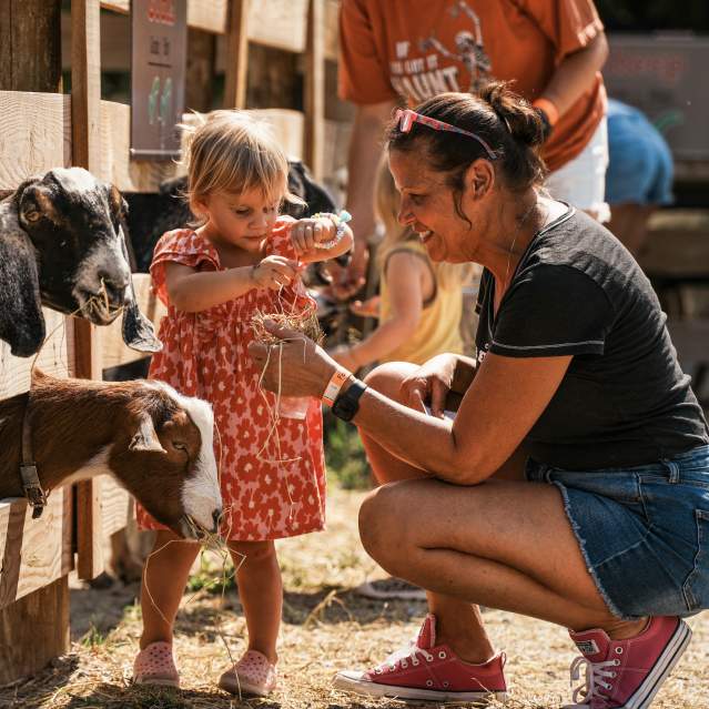 A mom and child feed goats at a petting zoo