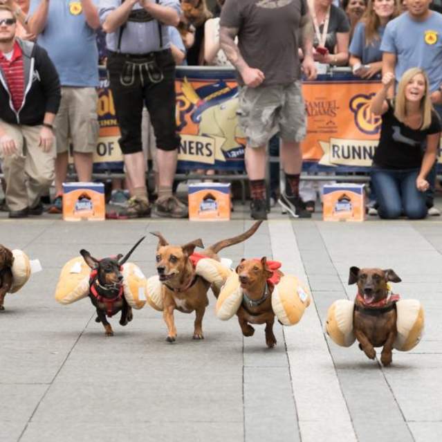 Running of the weiners at Oktoberfest Zinzinnati (photo: Brian Douglas Stills)