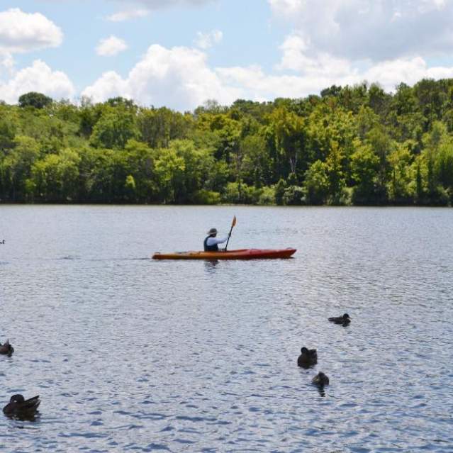 Person kayaking on the lake at Winton Woods (photo: Great Parks of Hamilton County)