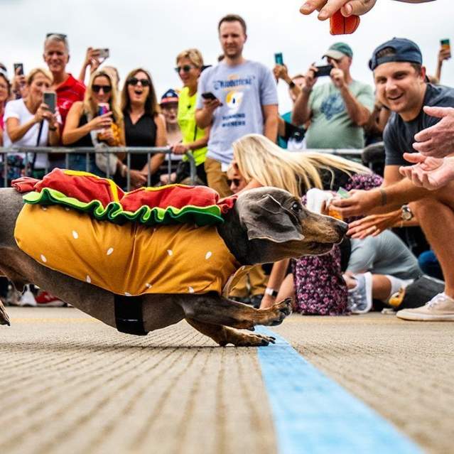 Oktoberfest Zinzinnati @shaemphoto