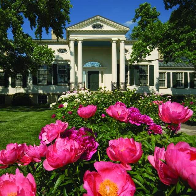 Pink peonies in front of the Taft Museum of Art (photo: Taft Museum of Art)