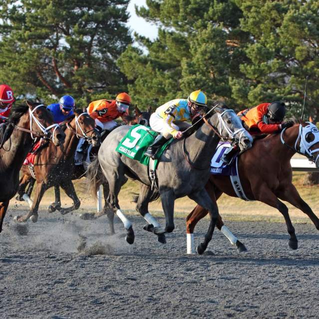 Events - Derby Day