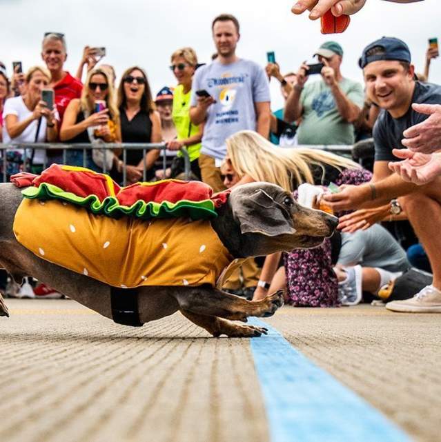 Oktoberfest Zinzinnati @shaemphoto