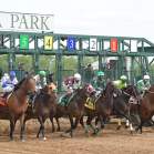 Belterra Park