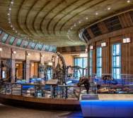 Dinosaur Hall at CMC_Abby Erwin