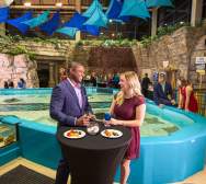 Unique event at an aquarium in Cincinnati