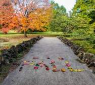 Spring Grove in the fall_Abby Erwin