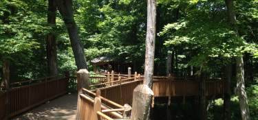 relaxing view from an outdoor hiking trail in Cincinnati