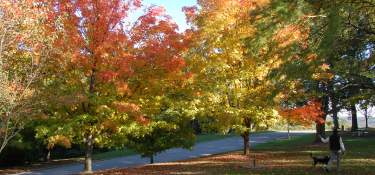 Things to Do - Seasons - Fall