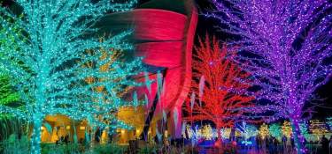 Things to Do - Seasons - Winter