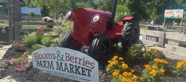 Blooms & Berries Sign