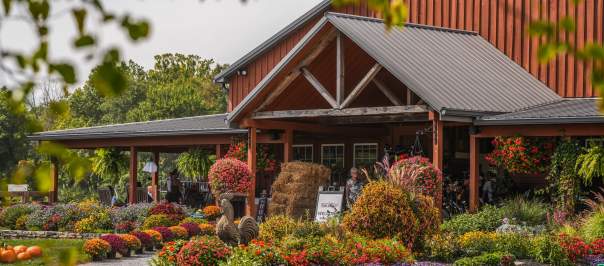 Exterior of a barn with fall foliage and colors