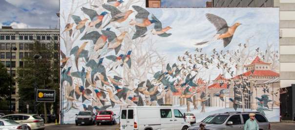 Martha the Last Passenger Pigeon - Mural (photo: Ronald M. Salerno)