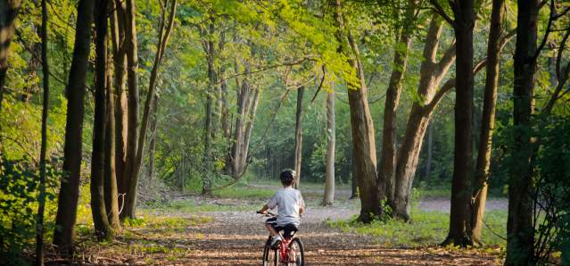 Summer biking in Summit Park