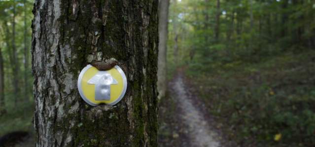 East Fork State Park trail marker