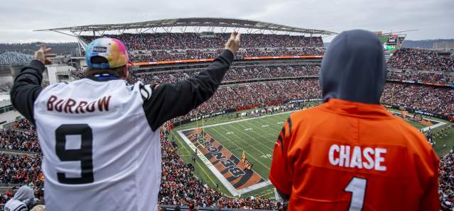 Bengals Fans 2