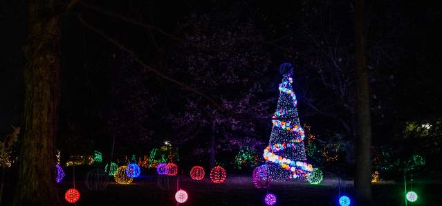 Plan Your Visit - Trip Ideas Culture Guides - Winter