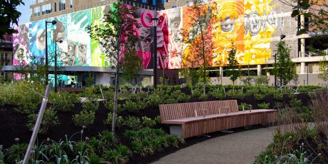 Greenery at Elm Street Plaza