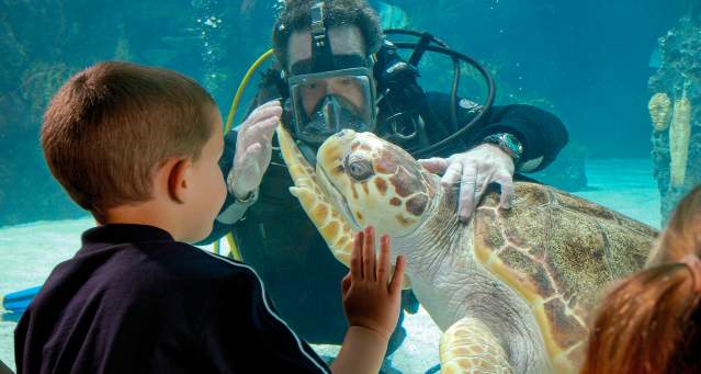Plan Your Visit - Visitor Guides - Digital Guide