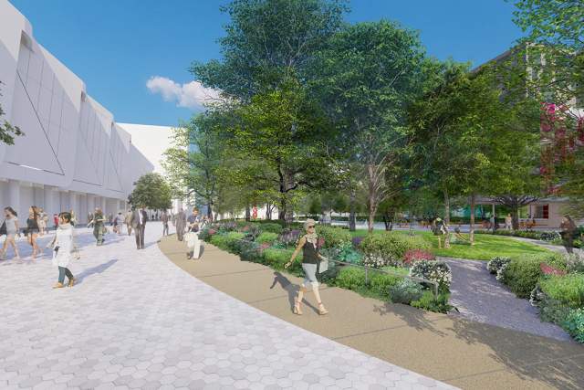 Elm Street Looking North