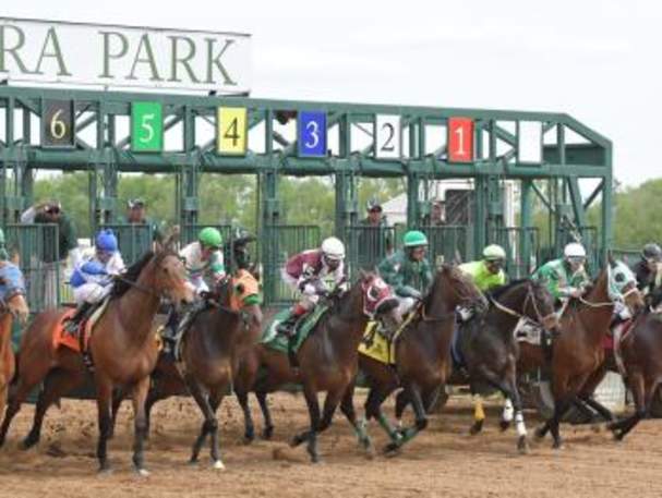 BelterraParkHorsesGate