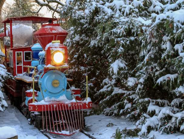 A red and blue train winds through a snowy path.