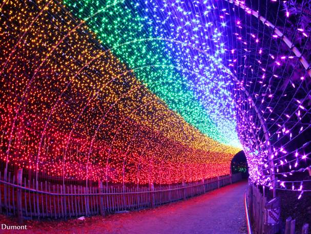 Colorful light tunnel