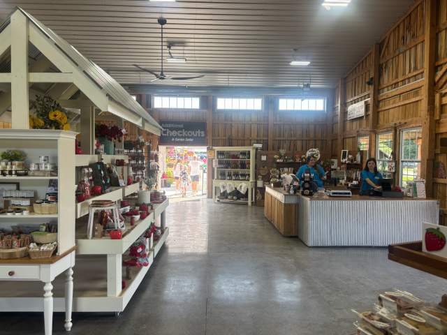 A market full of fun trinkets inside of a barn