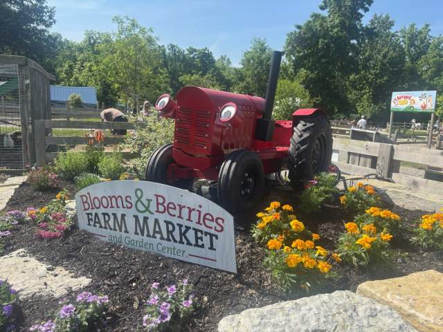 Blooms & Berries Sign