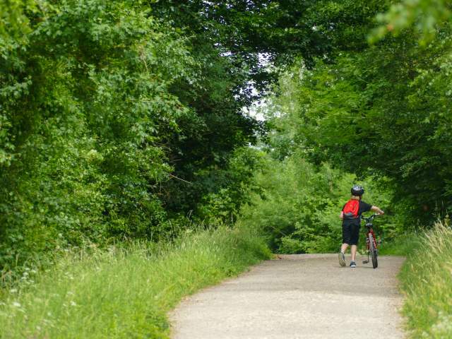A person wearing a helmet and a red backpack walks a bike along a wooded path.