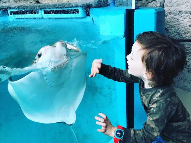 Newport Aquarium