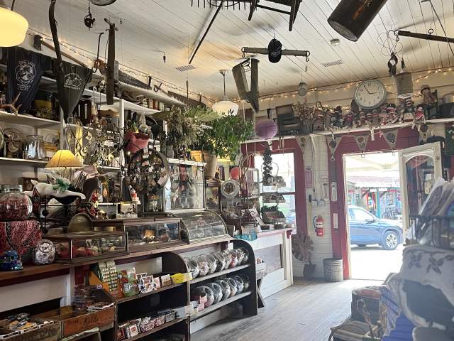 Image is of the inside of the Rabbit Hash General Store which includes candy jars, antiques and plants.