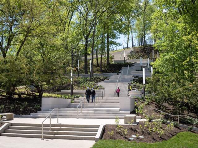 Art Climb (photo: Cincinnati Art Museum)