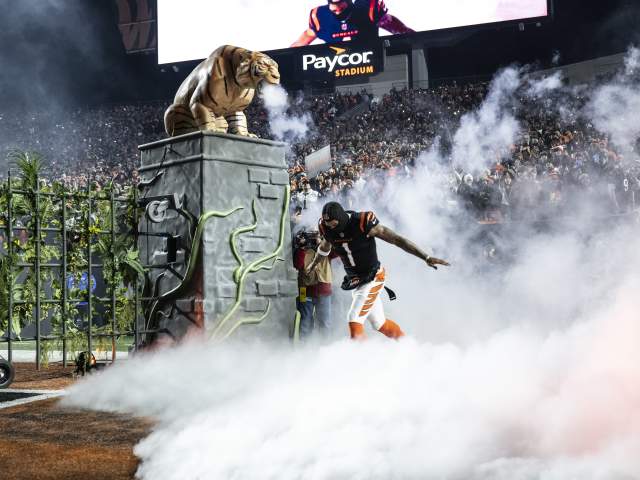 Bengals Game 1