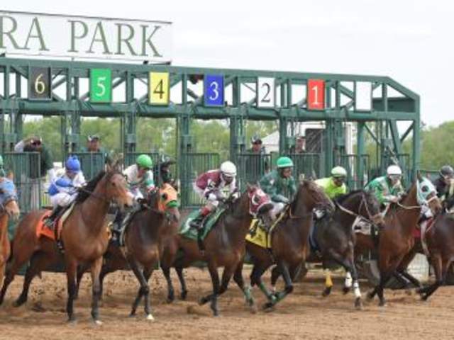 BelterraParkHorsesGate