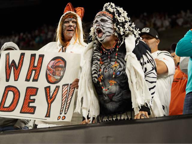 Bengals Fans 1