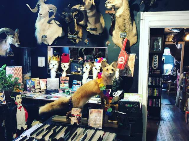 A wall of taxidermized animal heads look down on on vinyl record bins.