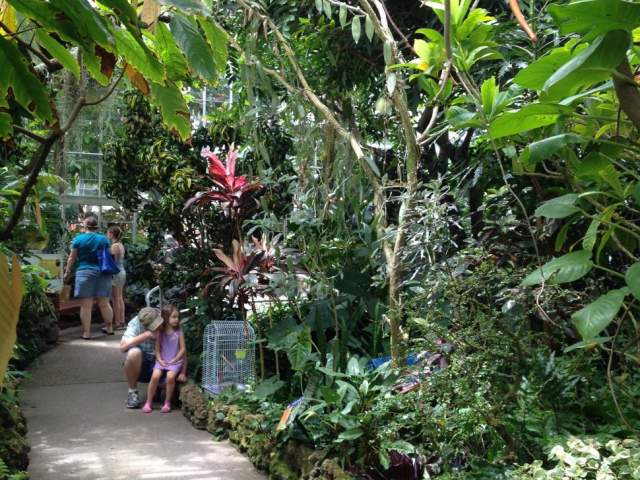 Krohn Conservatory