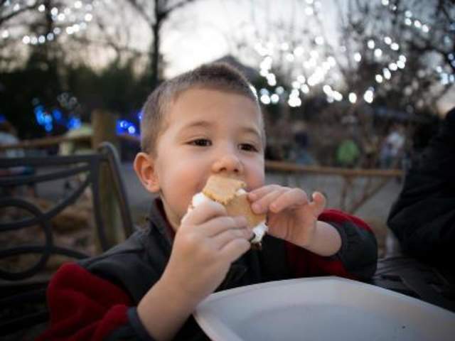 S’mores-N-More Station at Festival of Lights at Cincinnati Zoo