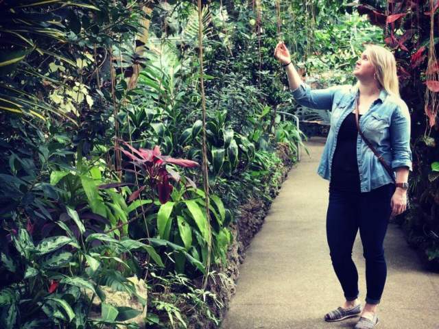 Krohn Conservatory (photo: @meaghan.needle)