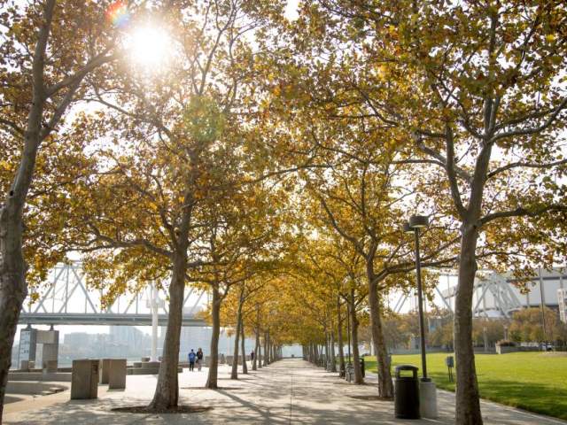 The setting sun shining through the trees at Sawyer Point (photo: CincinnatiUSA.com)